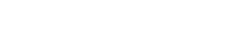 The Orthopaedic Institute