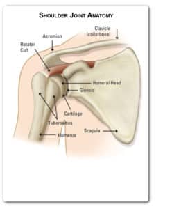 Arthroscopic Rotator Cuff Surgery - The Orthopaedic Institute