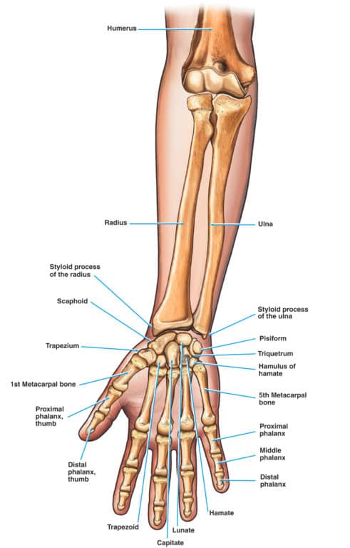 Common Causes of Finger Stiffness - The Orthopaedic Institute