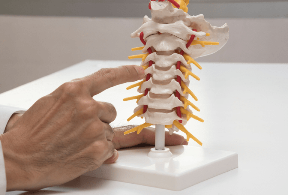 Degenerative Disc Disease